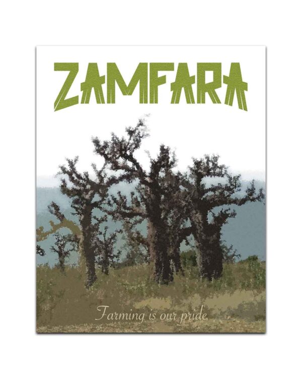 Zamfara State