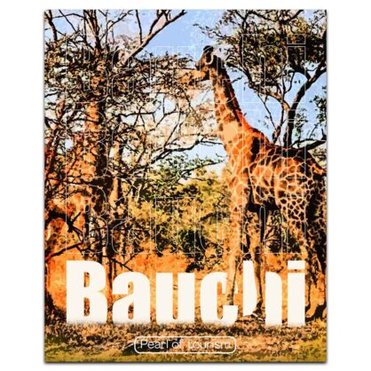 Bauchi Vintage Poster