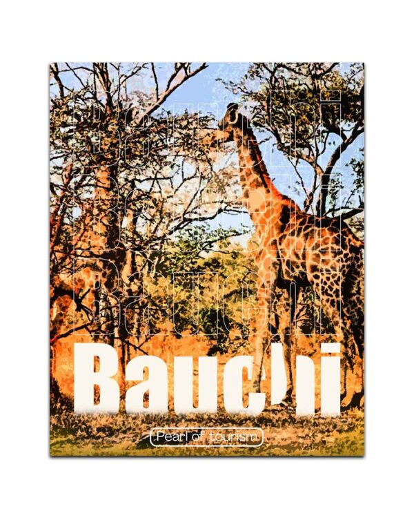 Bauchi Vintage Poster